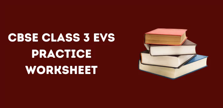CBSE Class 3 EVS Practice Worksheet