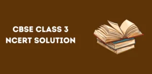 CBSE Class 3 NCERT Solution