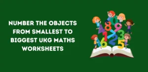 Number the objects from Smallest to Biggest UKG Maths Worksheets