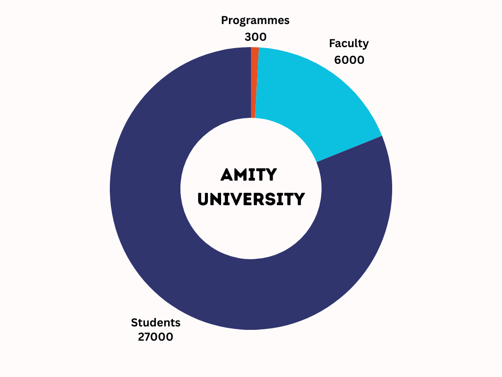 Amity University Overview